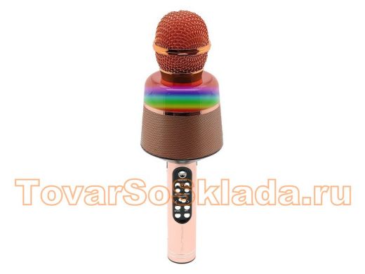 Микрофон караоке, Орбита OT-ERM10 Розовый RGB  (Bluetooth, динамики, USB)
