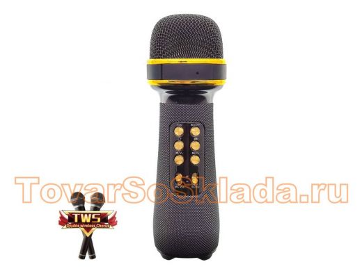 WSTER WS-898 Черный микрофон беспроводной (Bluetooth, динамики, USB)