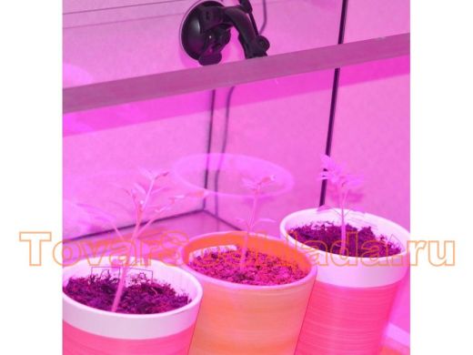 Светильники, прожектора для ускорения роста растений (Фитосвет)