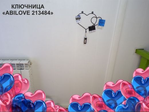 213484_5.jpg