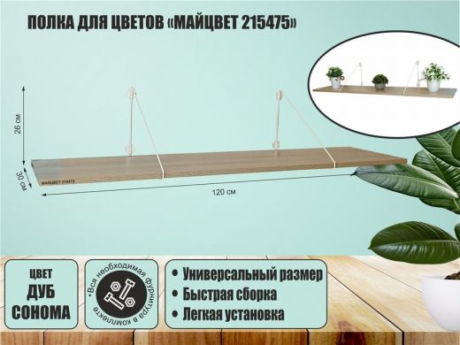 215475_1.jpg