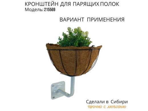 215569_6.jpg