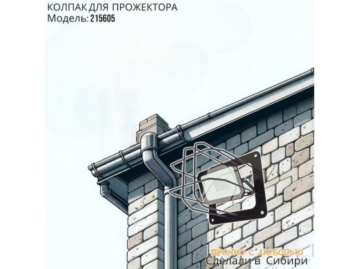 215605_5.jpg