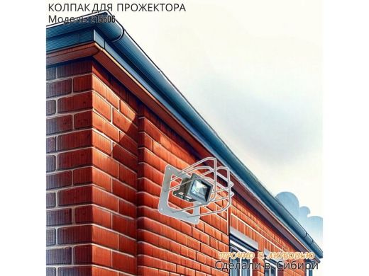 215606_8.jpg