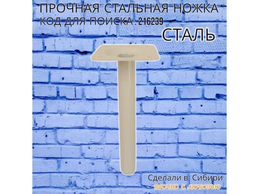 216239_13.jpg