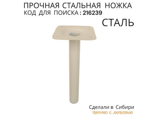 216239_3.jpg