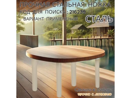 216239_5.jpg