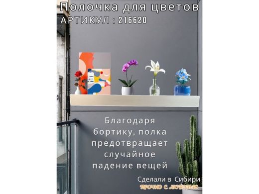 216620_8.jpg