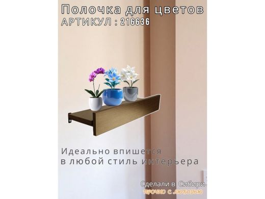 216636_8.jpg