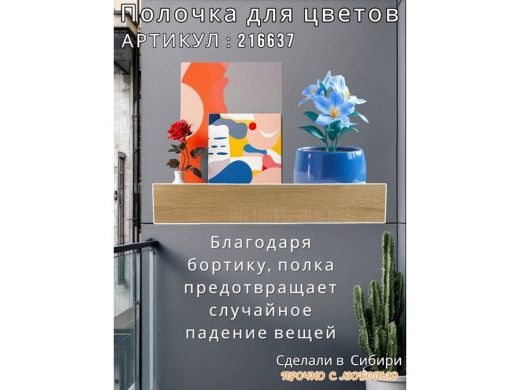 216637_11.jpg