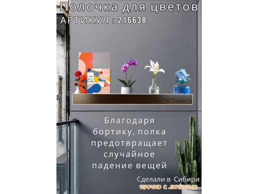 216638_12.jpg