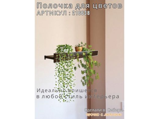 216638_14.jpg