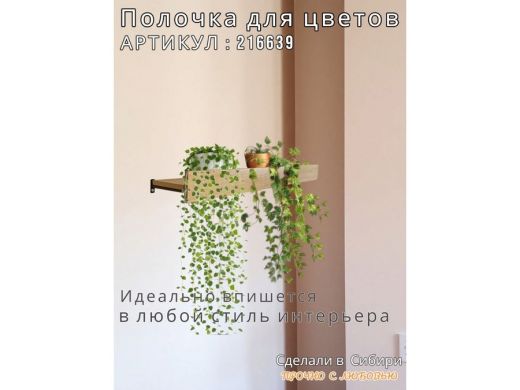 216639_12.jpg