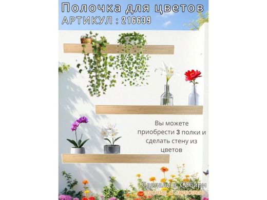 216639_9.jpg