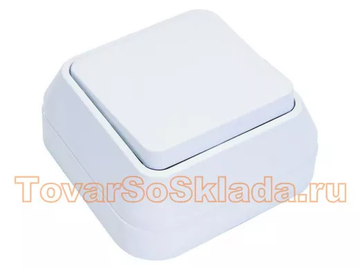 Выключатель одноклавишный открытой установки