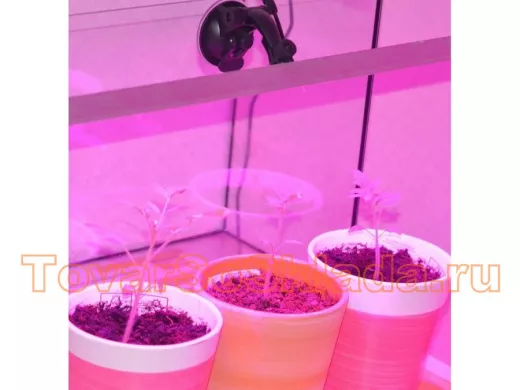 Светильники, прожектора для ускорения роста растений (Фитосвет)