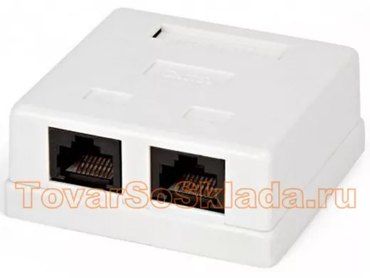 8P8C (RJ-45) для витой пары гнездо (female) 2 входа розетка накладная