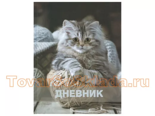 Дневники для старших классов