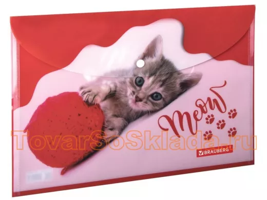 Папки-конверты с кнопкой