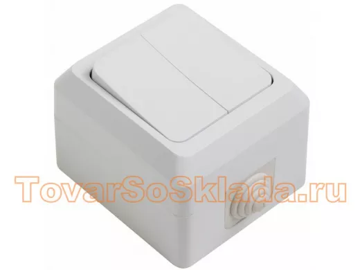 Выключатель  двухклавишный влагозащищенный открытой установки 10 А IP44 PROCONNECT