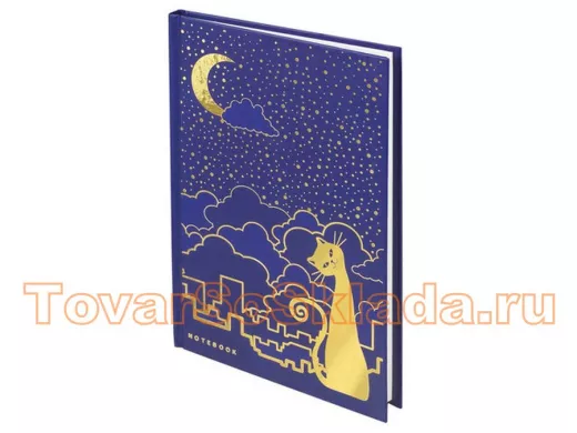 Блокнот 7БЦ А5 80л., фольга, кл. 