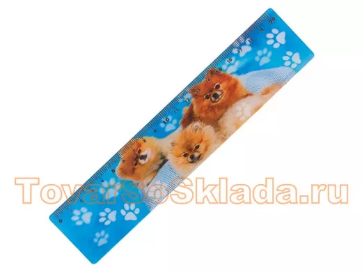 Линейка 3D 20 см 