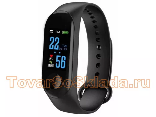 Спорт браслет Орбита OT-SMS10 (M3)