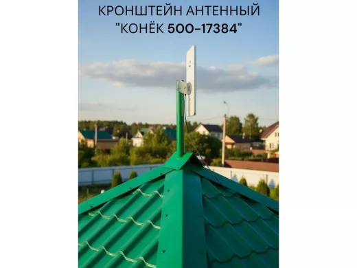 17384_6.jpg