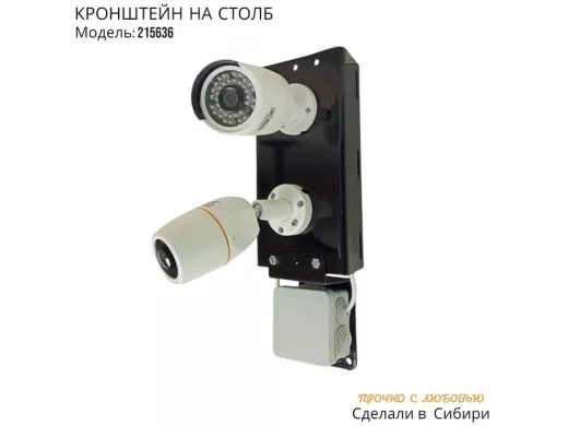 215636_3.jpg