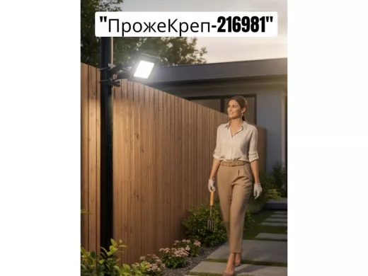 216981_4.jpg