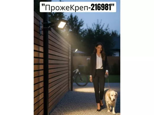 216981_6.jpg