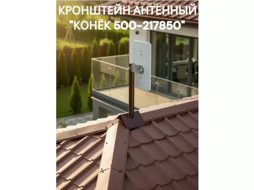 217850_3.jpg