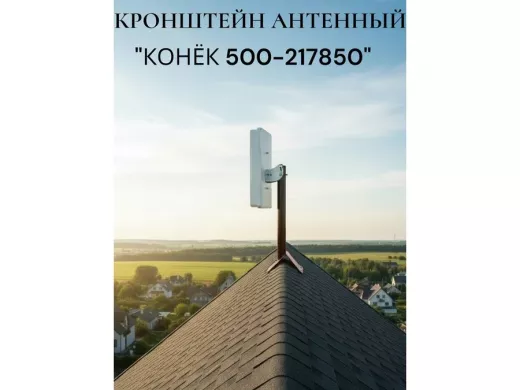 217850_4.jpg