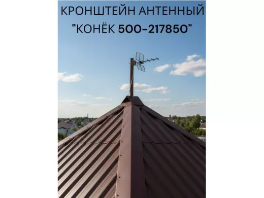 217850_9.jpg