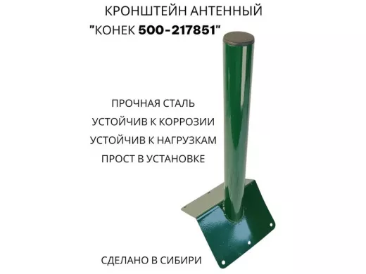 217851_4.jpg